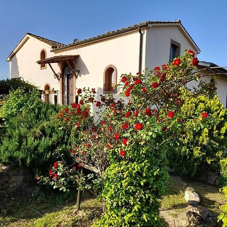 Borgo De' Muracci Ribolla Exteriér fotografie