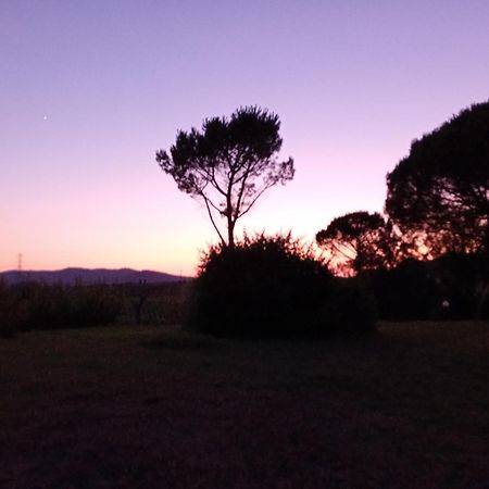 Borgo De' Muracci Ribolla Exteriér fotografie