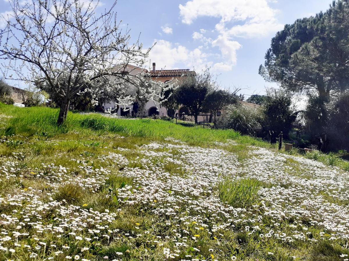 Borgo De' Muracci Ribolla Exteriér fotografie