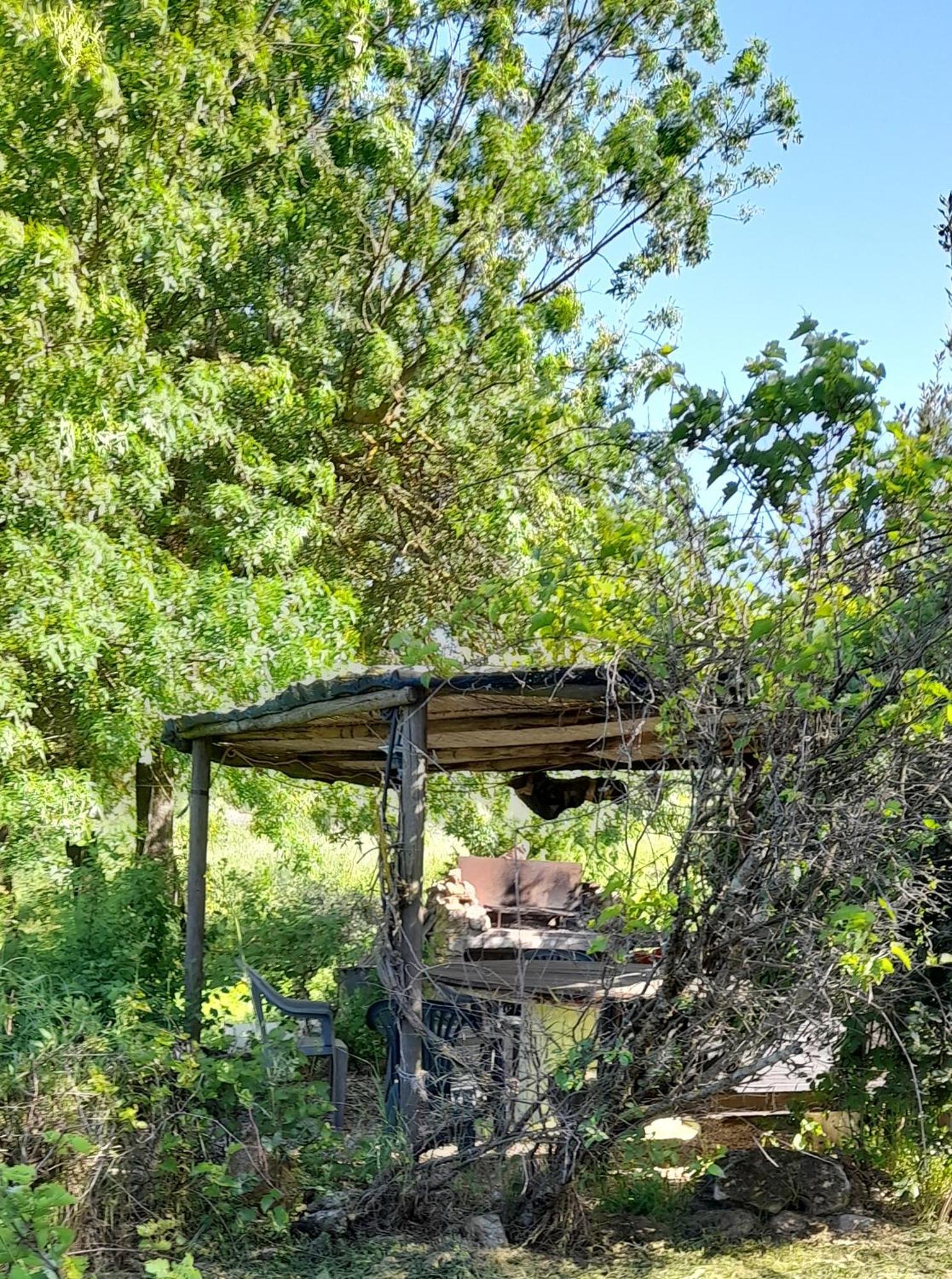 Borgo De' Muracci Ribolla Exteriér fotografie