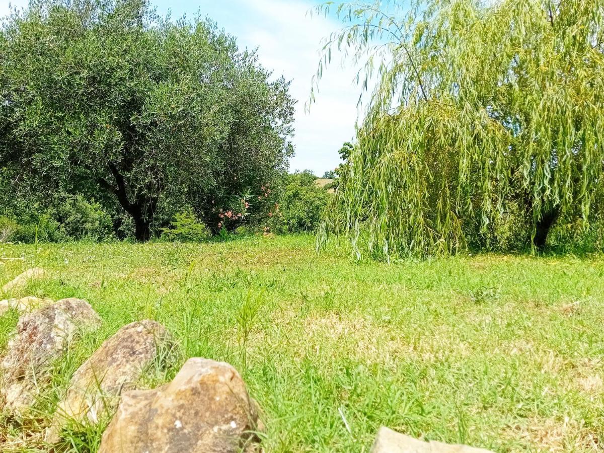 Borgo De' Muracci Ribolla Exteriér fotografie