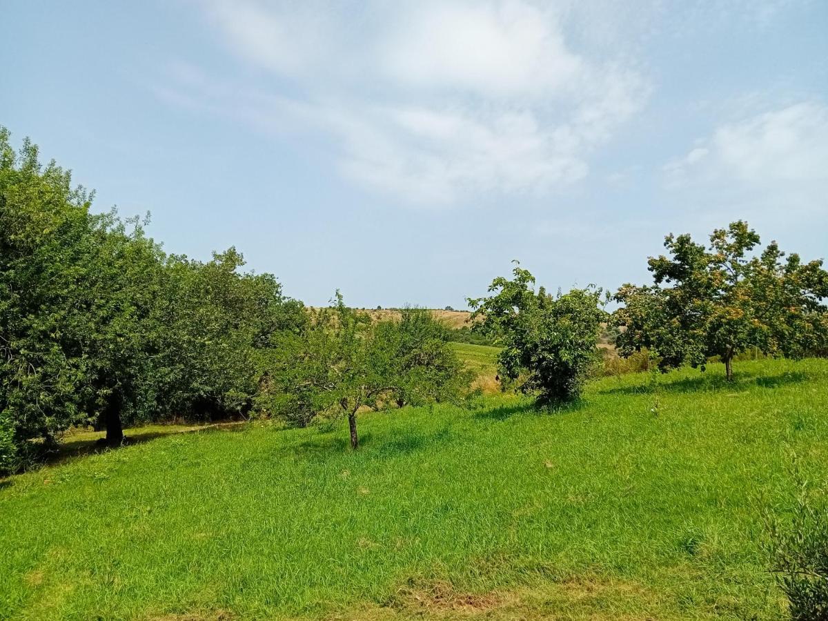 Borgo De' Muracci Ribolla Exteriér fotografie