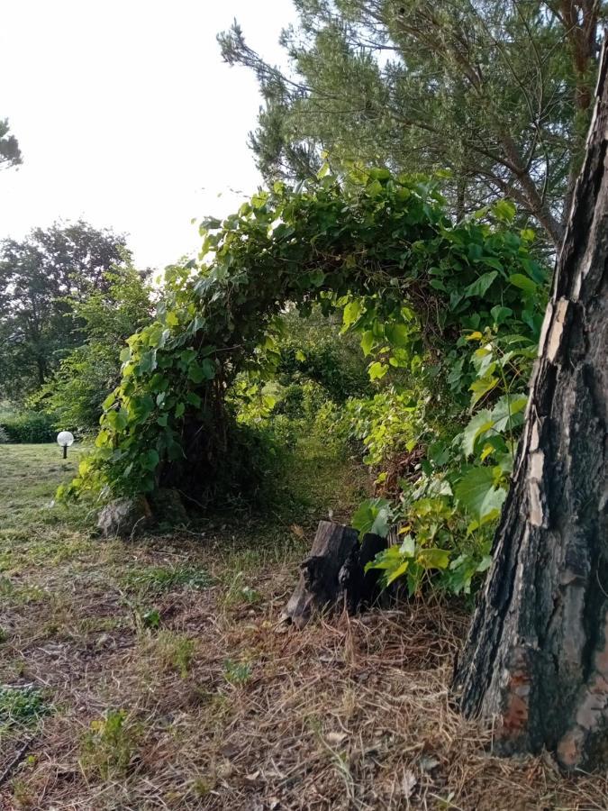 Borgo De' Muracci Ribolla Exteriér fotografie