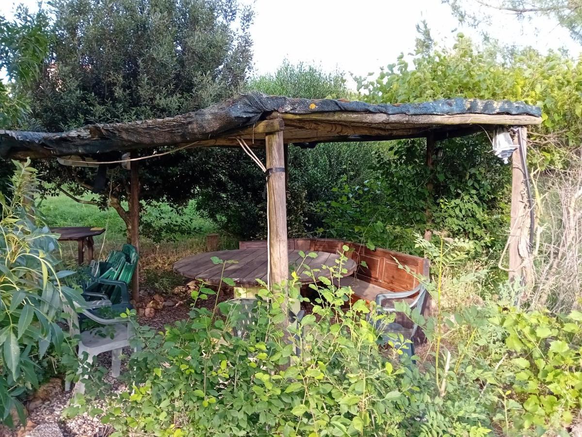 Borgo De' Muracci Ribolla Exteriér fotografie