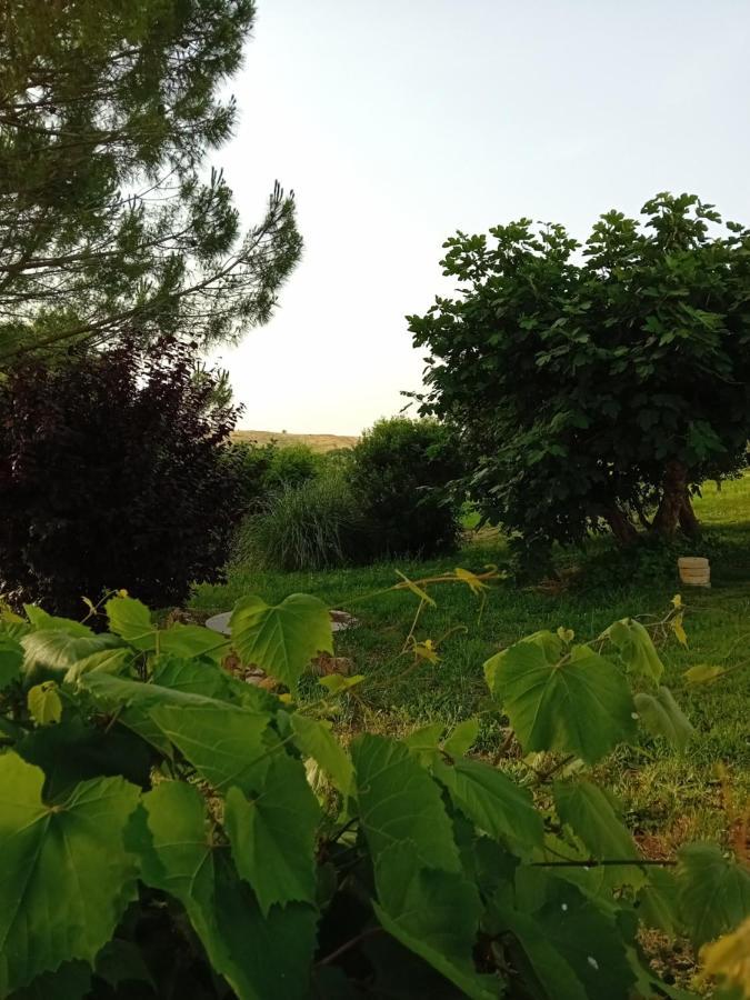Borgo De' Muracci Ribolla Exteriér fotografie