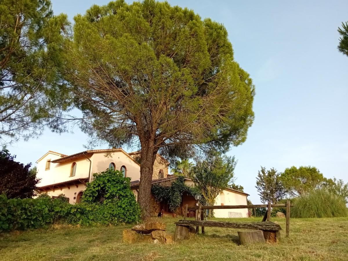 Borgo De' Muracci Ribolla Exteriér fotografie