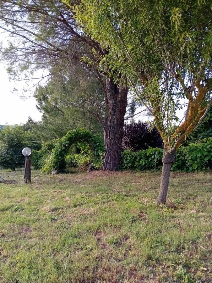 Borgo De' Muracci Ribolla Exteriér fotografie