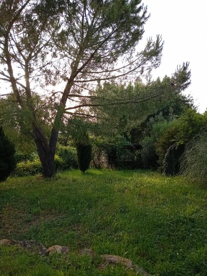 Borgo De' Muracci Ribolla Exteriér fotografie