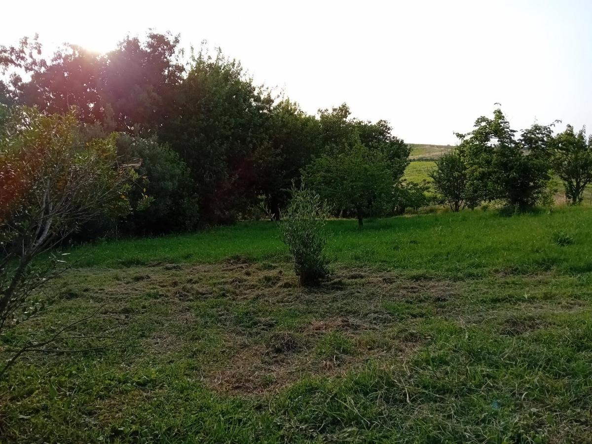 Borgo De' Muracci Ribolla Exteriér fotografie
