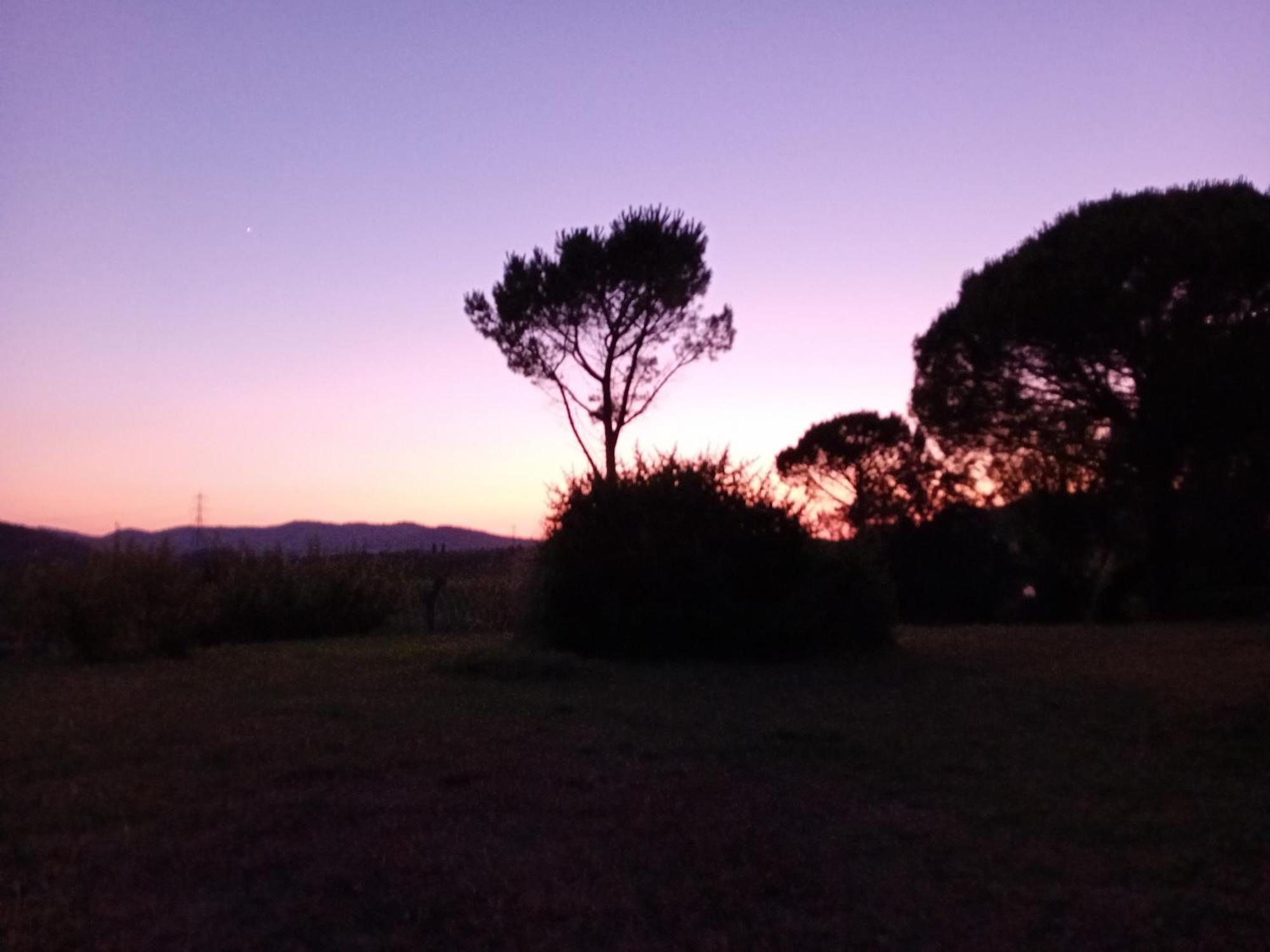 Borgo De' Muracci Ribolla Exteriér fotografie