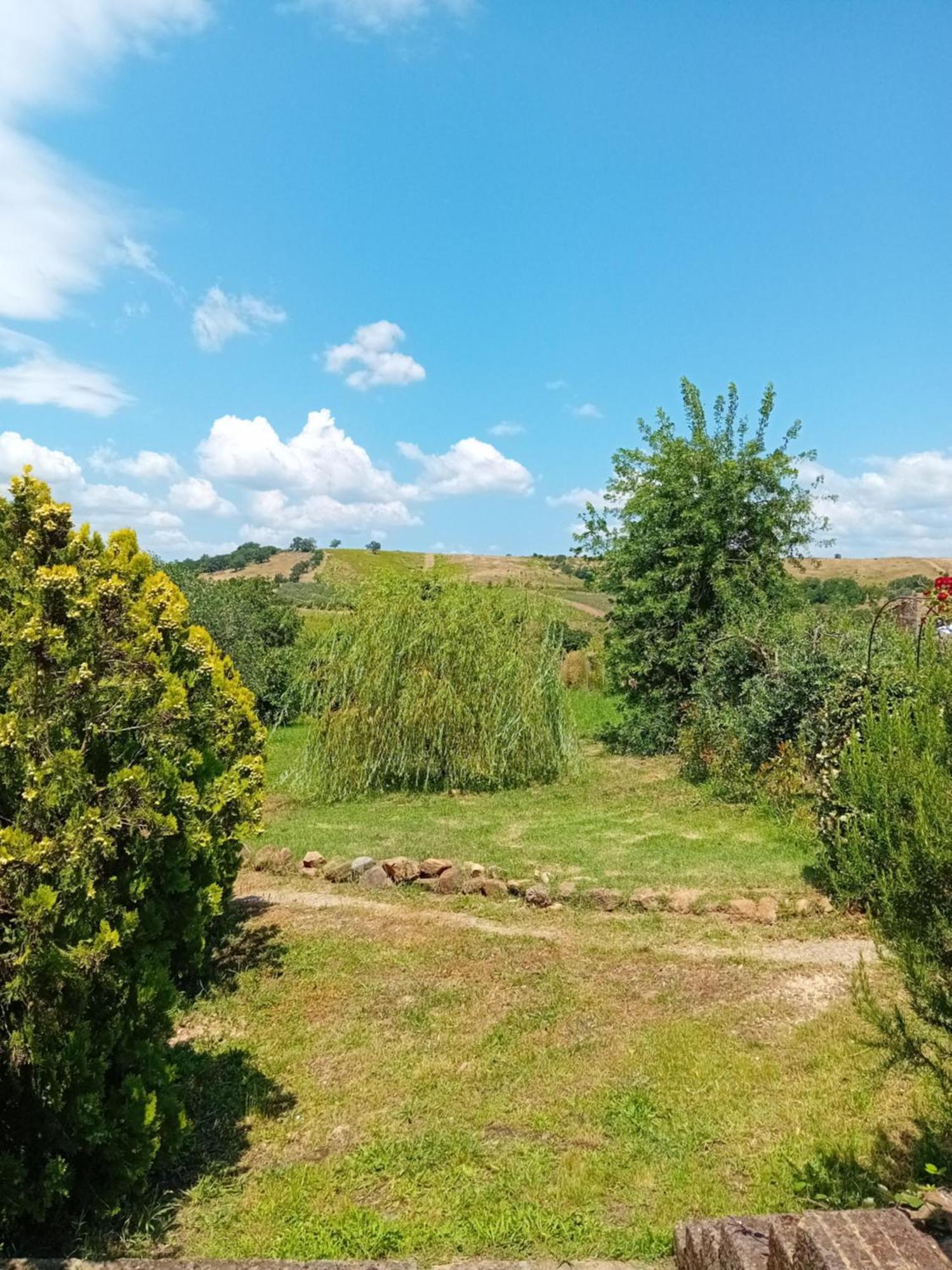 Borgo De' Muracci Ribolla Exteriér fotografie